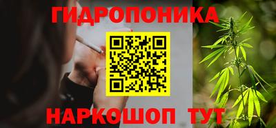 прущие крисы Гусиноозёрск