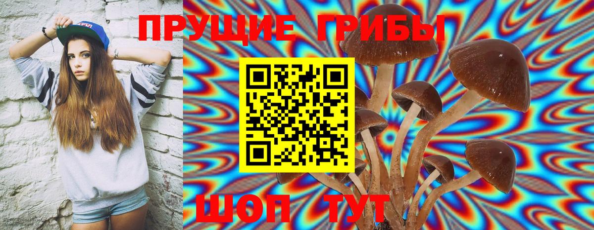 Пугачёв  Галлюциногенные грибы ЛСД  Вход с VPN  Псилоцибиновые грибы мицелий 